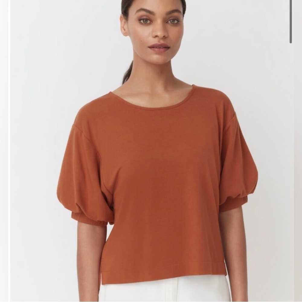 Cuyana Rust Puff Sleeve Tee